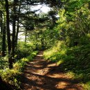 정해 마을회관 이미지