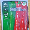 그린모종