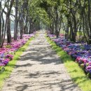 신안축구장 축구장 이미지