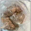 사조로하이참치 | 내돈내산) 사조참치 살코기 대용량 1.88kg