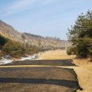 [공지] 2024년 시즌 스타트/타이거 c.c /골프장 라운딩 후기
