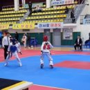 용인대성민태권도 이미지