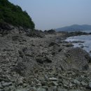 어류정(탑재) 이미지