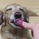 솜사탕 이미지