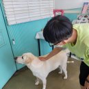 미어켓파크 이미지