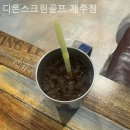 디온스크린골프제주점 이미지