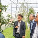 한국청과 이미지