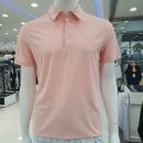 데니스골프 이미지