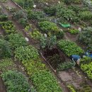 본인농장 이미지