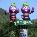 장동리 이미지