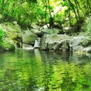 국립유명산자연휴양림 이미지