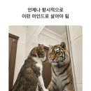 OLSO BAKESHOP (올소 베이크샵) | 띠용 2026