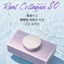 닥터클레오
