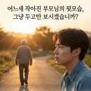 백세건강지킴이 | 부모님 기력 회복의 핵심! 프리미엄 오한진 백세 알부민 효능 및 실제 섭취 후기