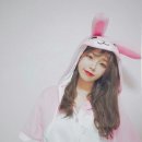 섹시코코 이미지