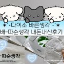 바른몰 - 구로구 | 다이소 ㅣ배찜질추천템인 바른생각 배따순생각 내돈내산후기 (feat.생리통에효과좋은배찜질팩)