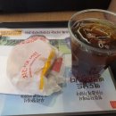 고운채 스테이 이미지