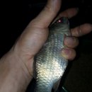 신추정낚시터 이미지