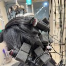 러블리+우아함 끝판왕, 엘리자벳펌 딜라잇헤어 마곡나루역 수빈 부원장