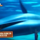 이영란농장 이미지