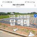 금천면복지센터 이미지
