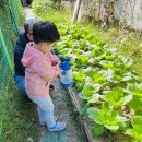 한성농장2 이미지