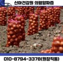 도동흑염소