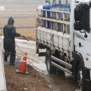 마리농장 이미지