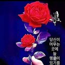 냉수묵고 속채린다 이미지