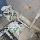 조마루로397번길 전역 | 광주 이사 진짜 망할 뻔했는데 대중익스프레스 덕분에 살았어요