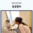 달곰헬씨