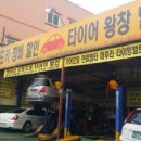 독도카타이어 이미지