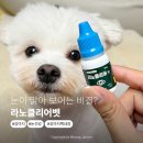 눈빛안과건강식품 | 눈이 맑아 보이는 비결? 라노클리어벳 반려견눈건강 강아지안과케어 후기