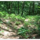 모곡초등학교 이미지