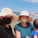 고성대게 이미지