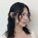 파인트리헤어살롱 네이버블로그