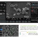셈셈(sem sem) 이미지