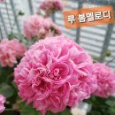 낼(화요일)저녁9시에 달리기 함 해볼까요.^^ 이미지