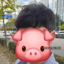 수완제일약국 | [남자머리 컷트]수완지구 입구 신규오픈 비사채헤어 후기!