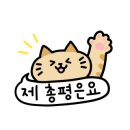 예뻐지개냥 이미지