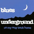 St` James Infirmary---Blues Underground 이미지