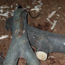 두마농장 이미지