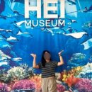 숲속,헤이리114 이미지