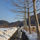 독도주차장 | [울릉도 저동] 울릉도에 몇 없는 소품샵 '독도 문방구' 후기 | 기념품 추천, 주차, 영업시간