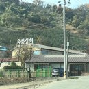 예산느티나무캠핑장 이미지