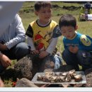 성산읍-5 이미지