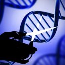 위더스에스디 이미지