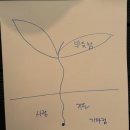 목동텃밭 이미지