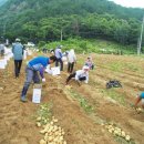 사랑의농장 이미지