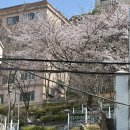 블루노트 | 인천 문학경기장 감성 데이트 숙소 호텔 블루노트 스위트룸 후기